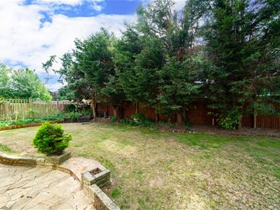Picture 25